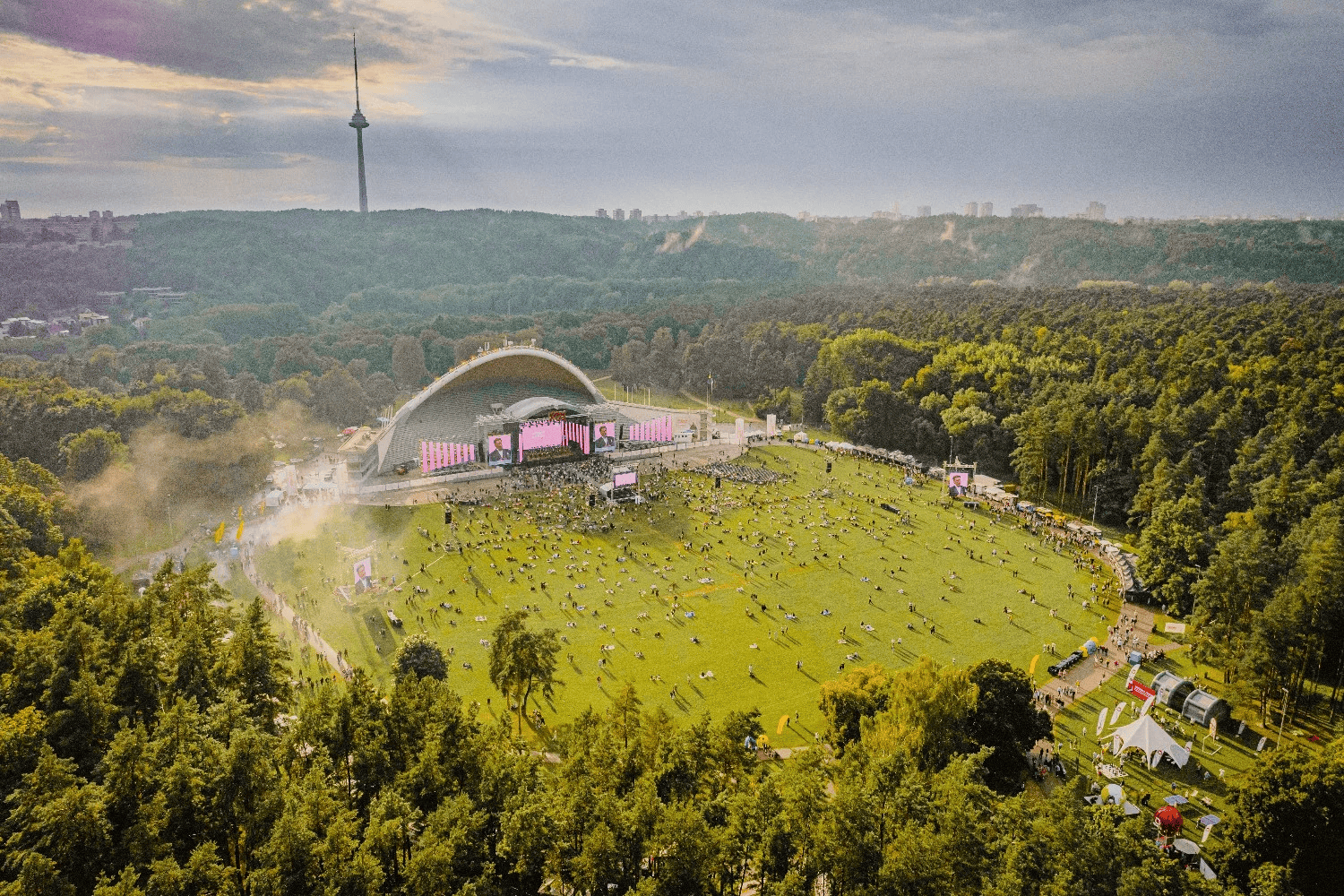 Vingis Park aerial